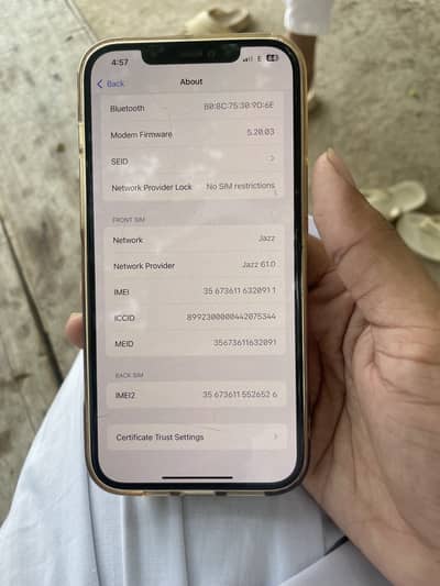 Apple iPhone 12 Pro Max
