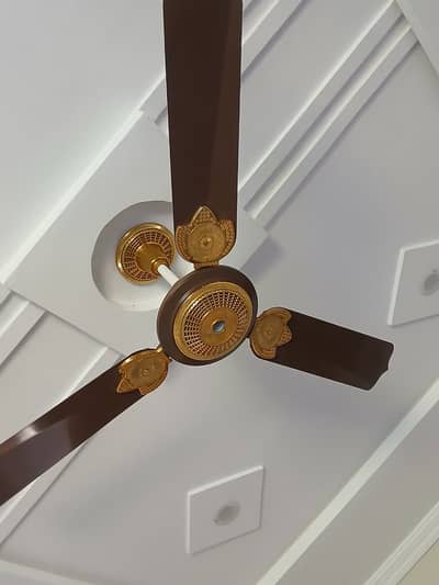 Celling fan condition totally new