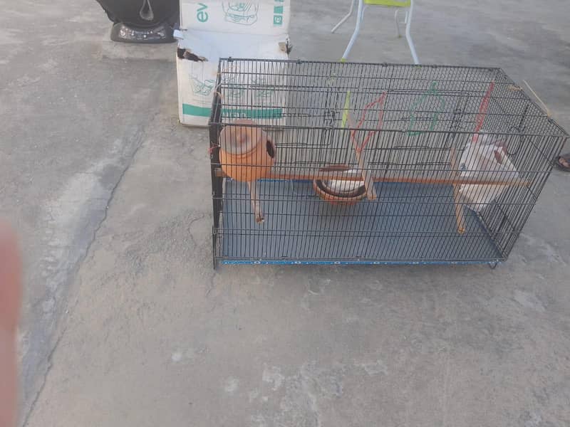foldable cage 0