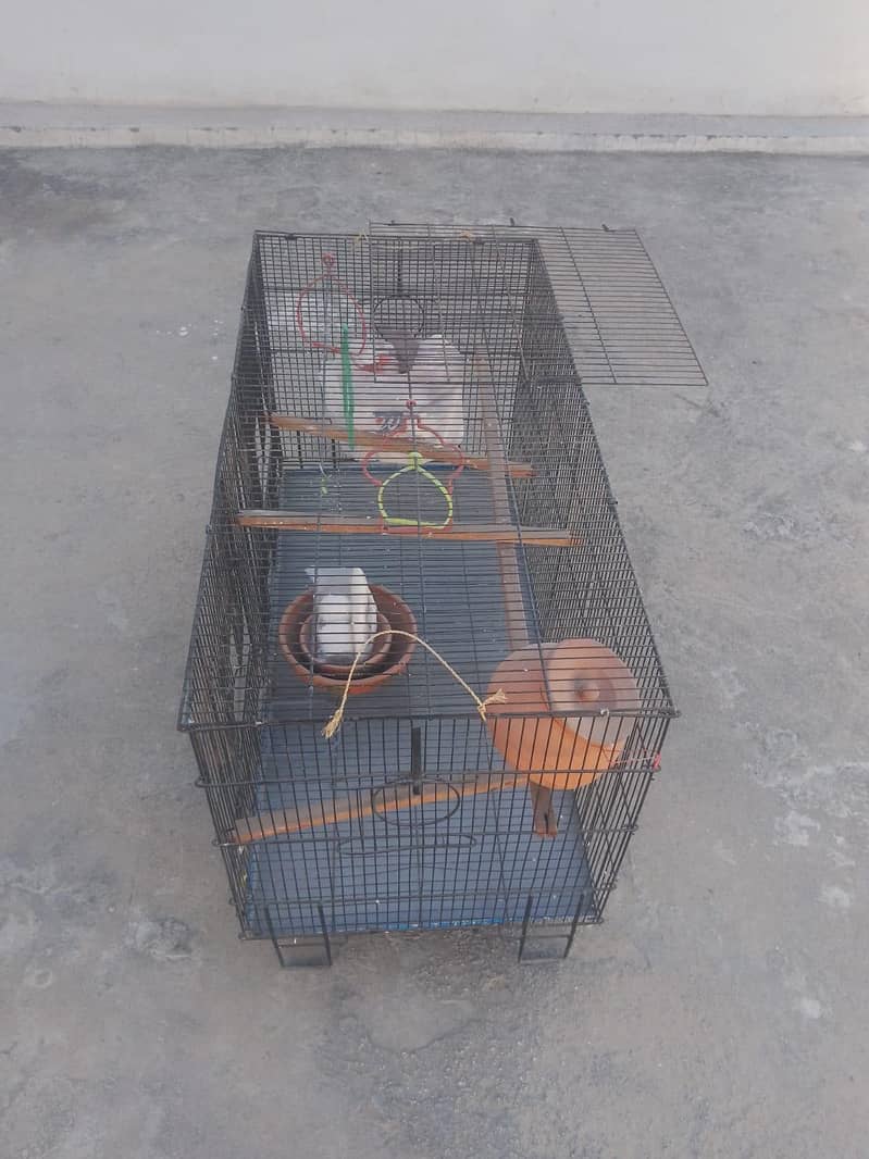 foldable cage 3