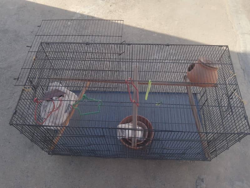 foldable cage 4