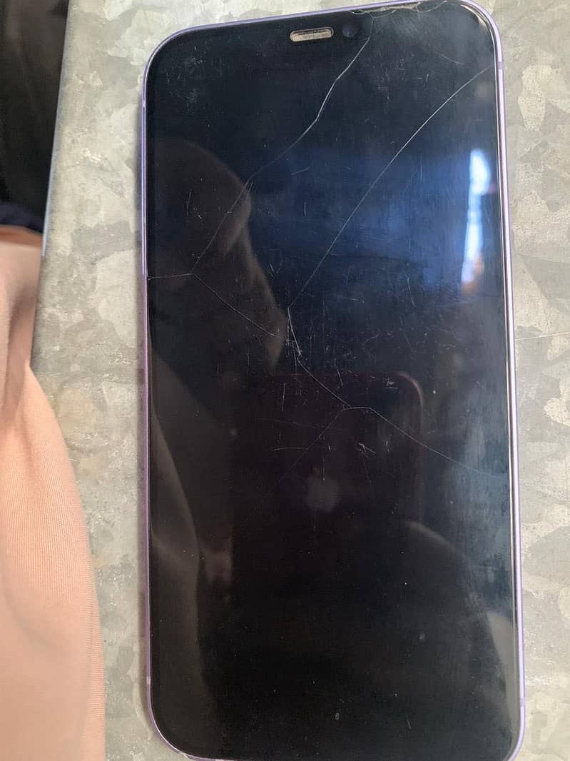 Apple iPhone 12 1