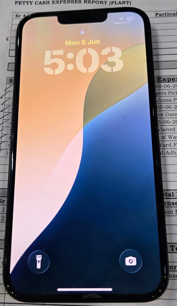 Apple iPhone 13 0