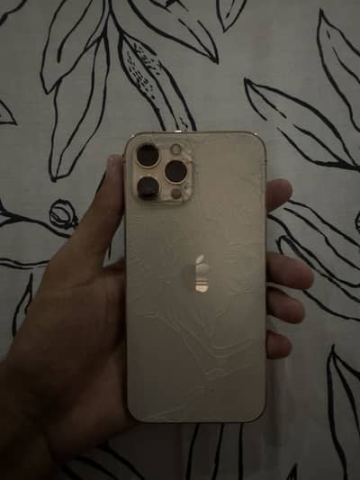 Apple iPhone 12 Pro Max