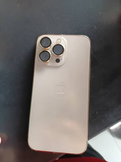 Apple iPhone 13 Pro