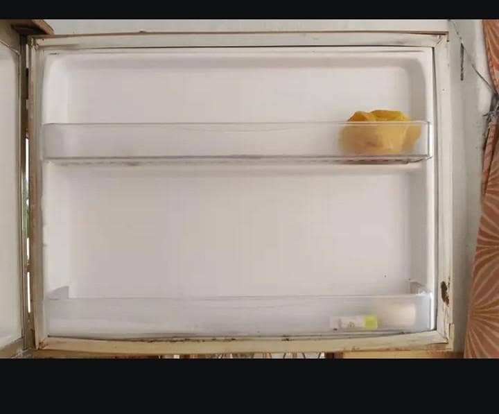 Waves Fridge 1