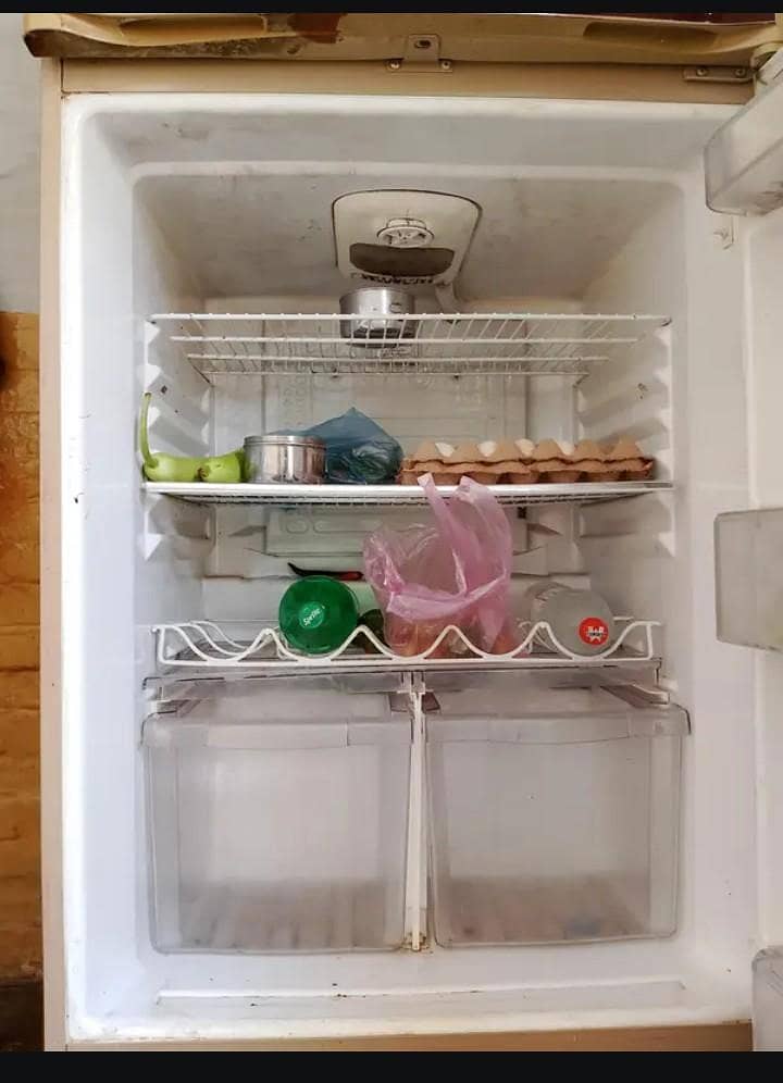 Waves Fridge 2