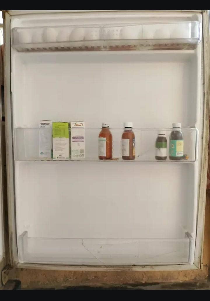 Waves Fridge 3