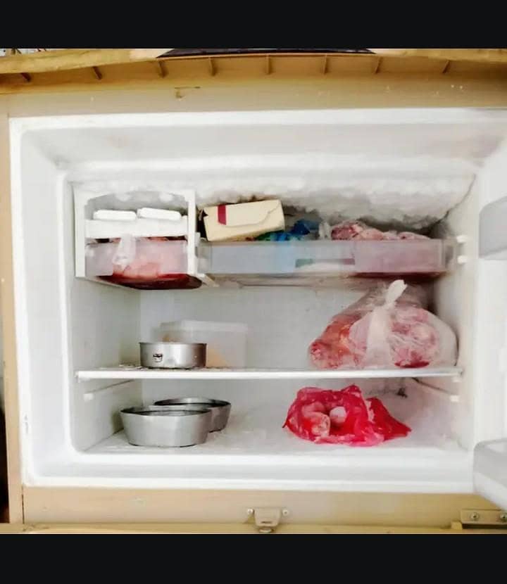 Waves Fridge 4