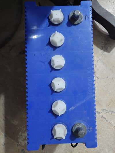 12 v osaka