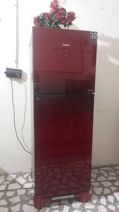 haier Mid size fridge Red & black mirror front