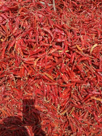 mirch haldi shop munshi required