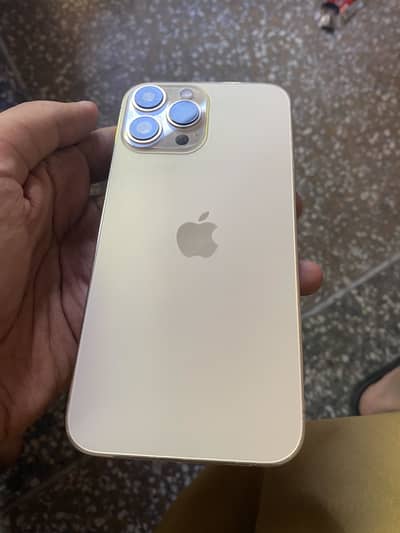 Apple iPhone 13 Pro Max