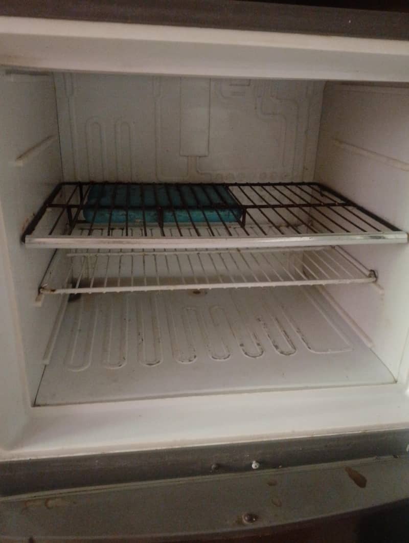 fridge 1