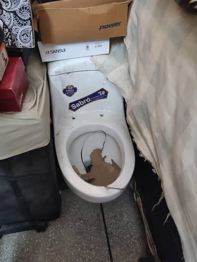 toilet seat commode