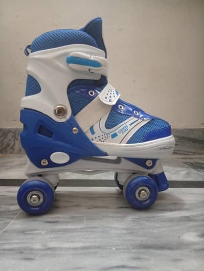 Skating shoes
