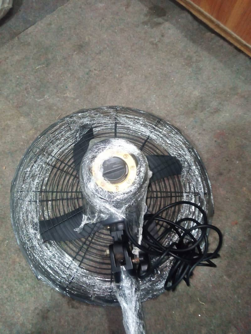 fan  1