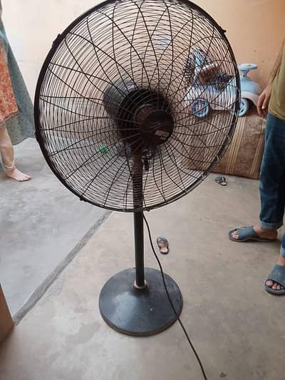 mafco fan