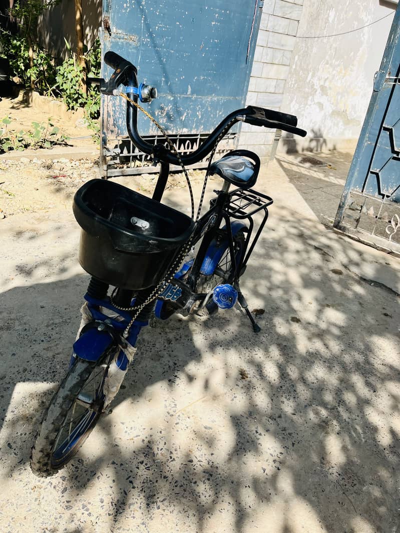 Cycle 2