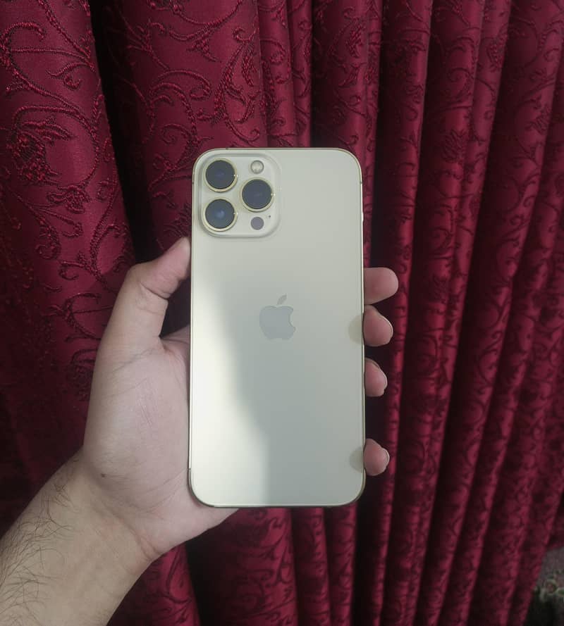 Apple iPhone 13 Pro Max 0