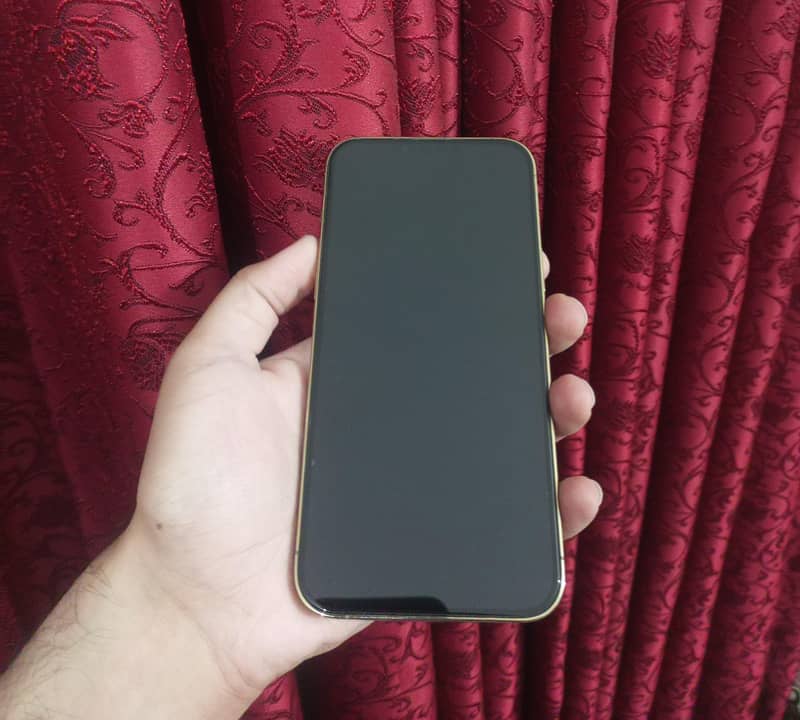 Apple iPhone 13 Pro Max 1