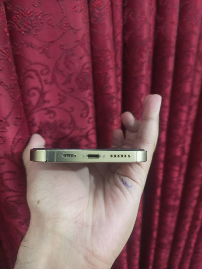Apple iPhone 13 Pro Max 2