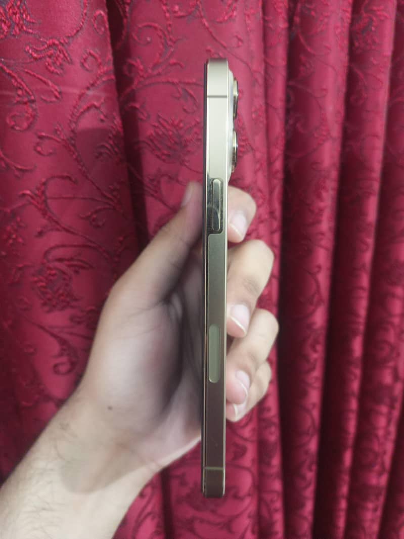 Apple iPhone 13 Pro Max 3