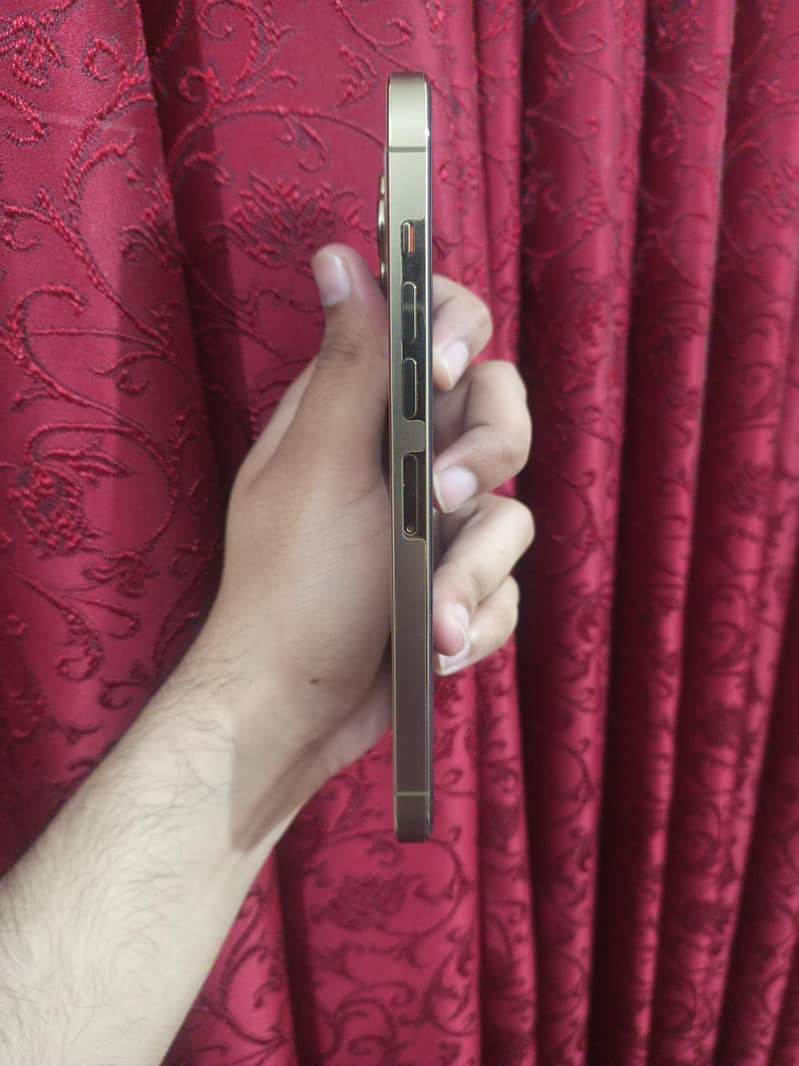Apple iPhone 13 Pro Max 4