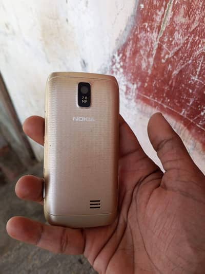Nokia Asha 305