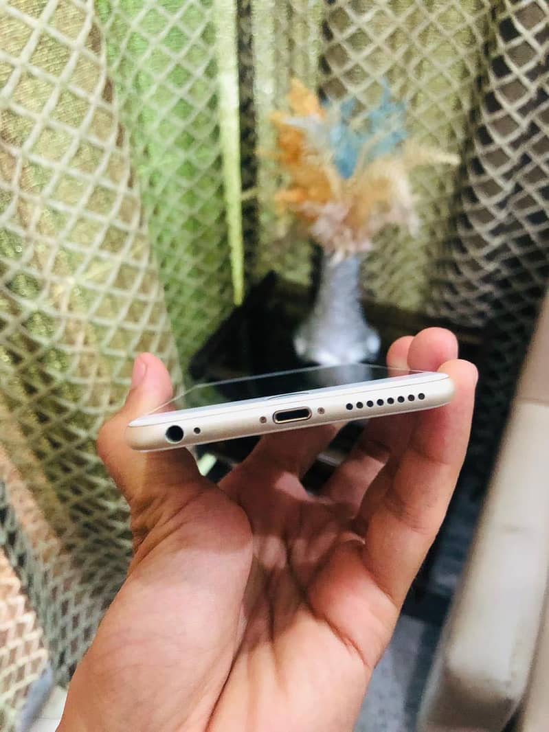 iPhone 6 plus 3
