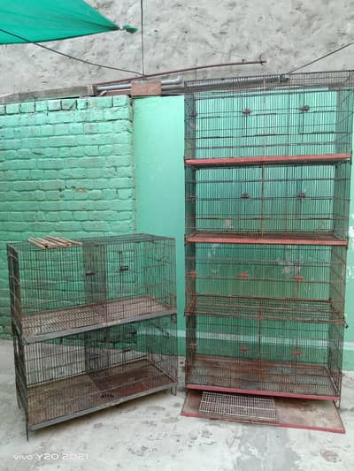 Parrot cage