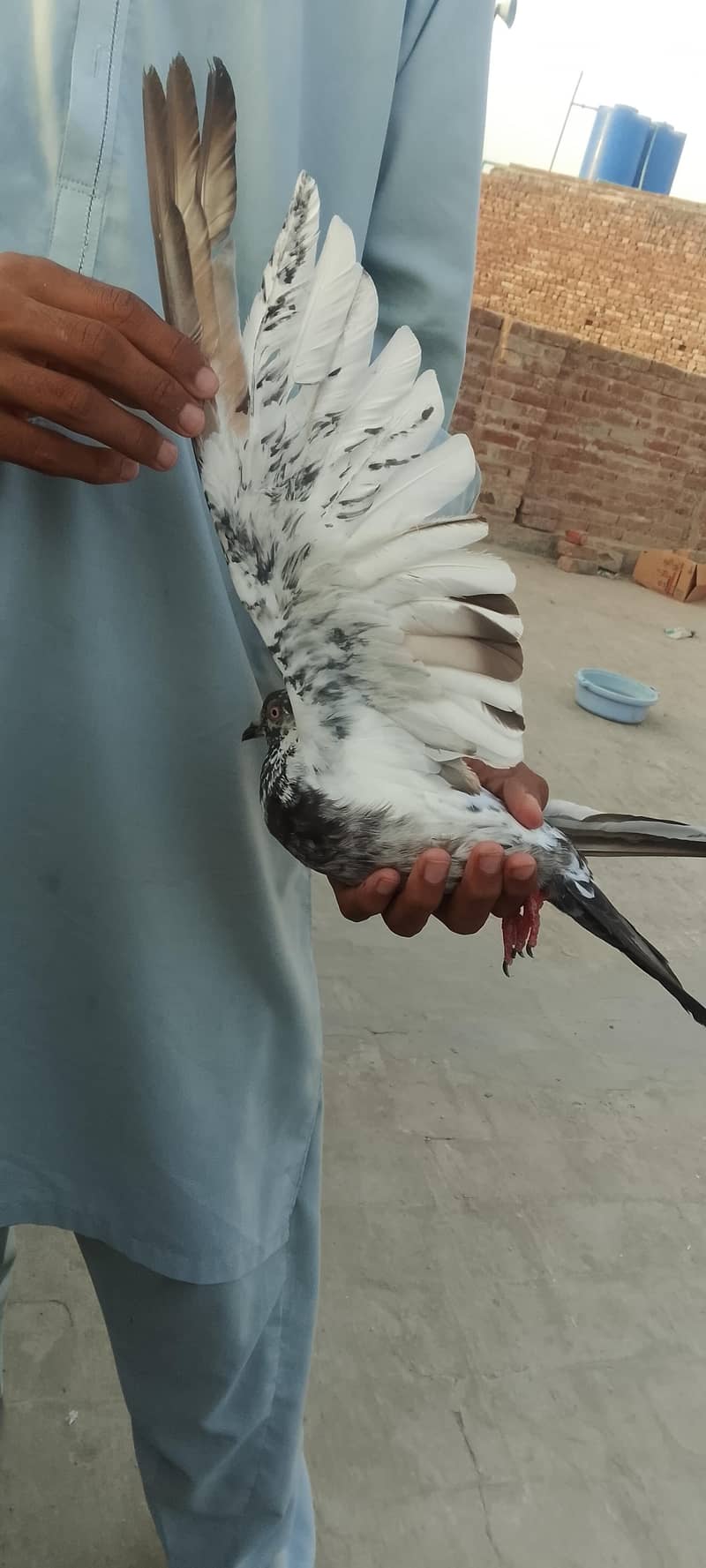 Abdullah 1