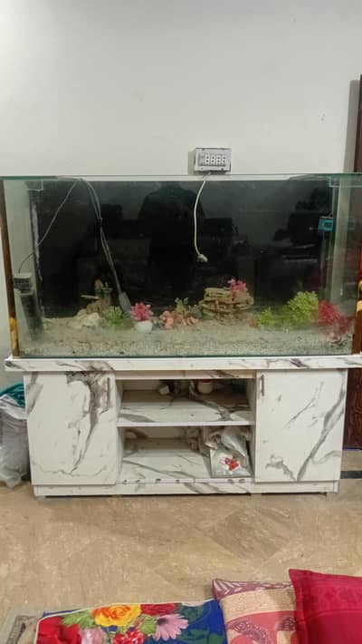 Fish Aquarium Urgent Sale