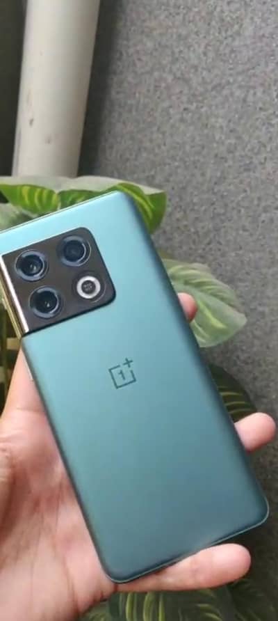 one plus 10 pro OFFICIAL PTA APPROVED
