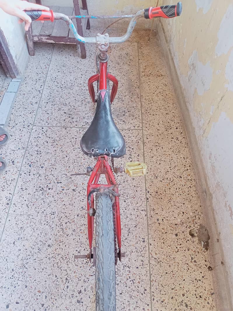 Cycle 4