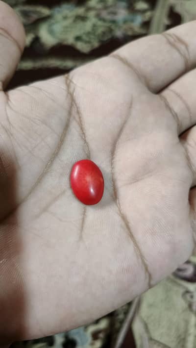 Red Coral Marjan Stone