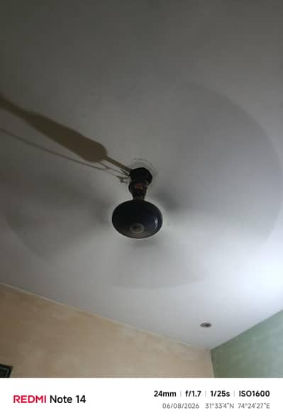Ceiling Fan