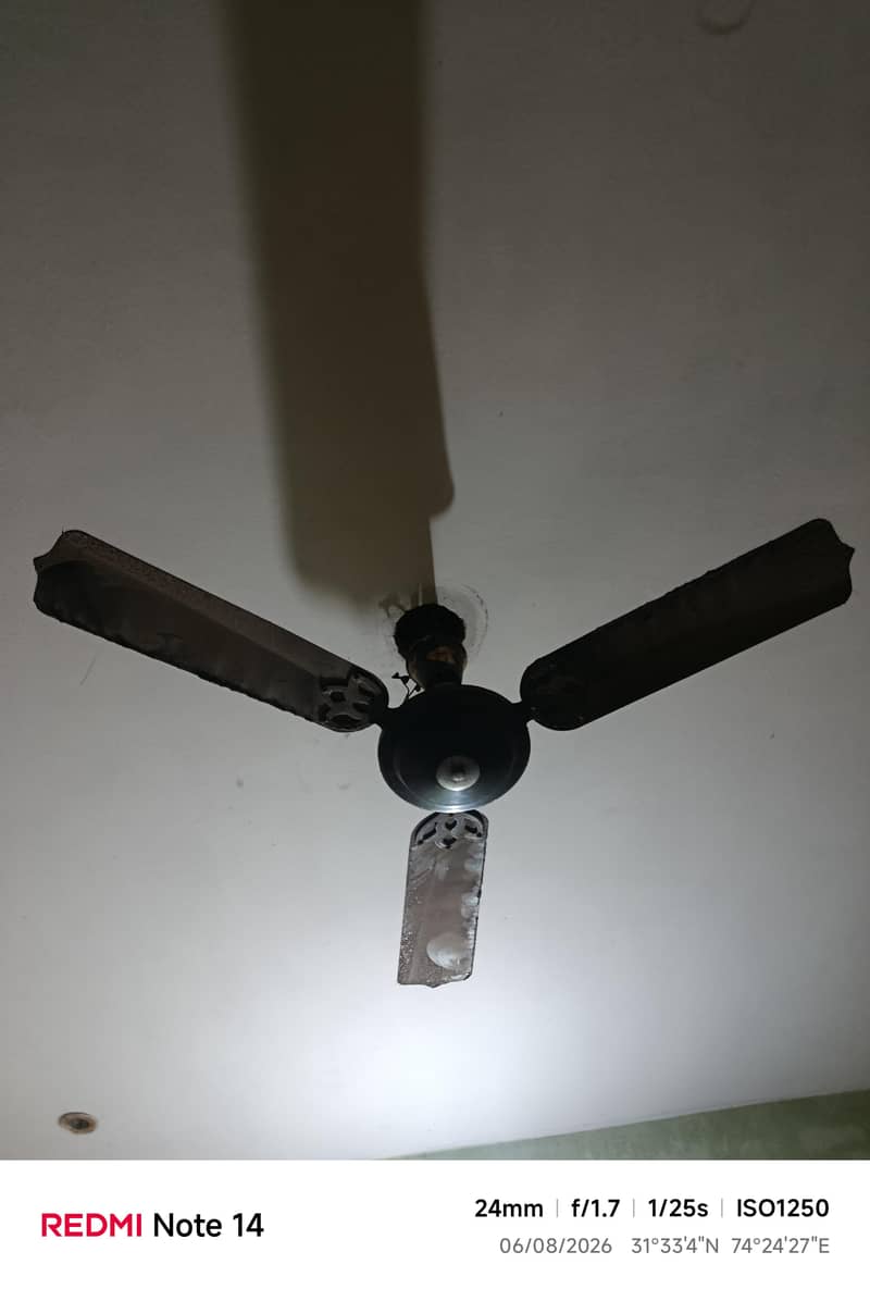 Ceiling Fan 1