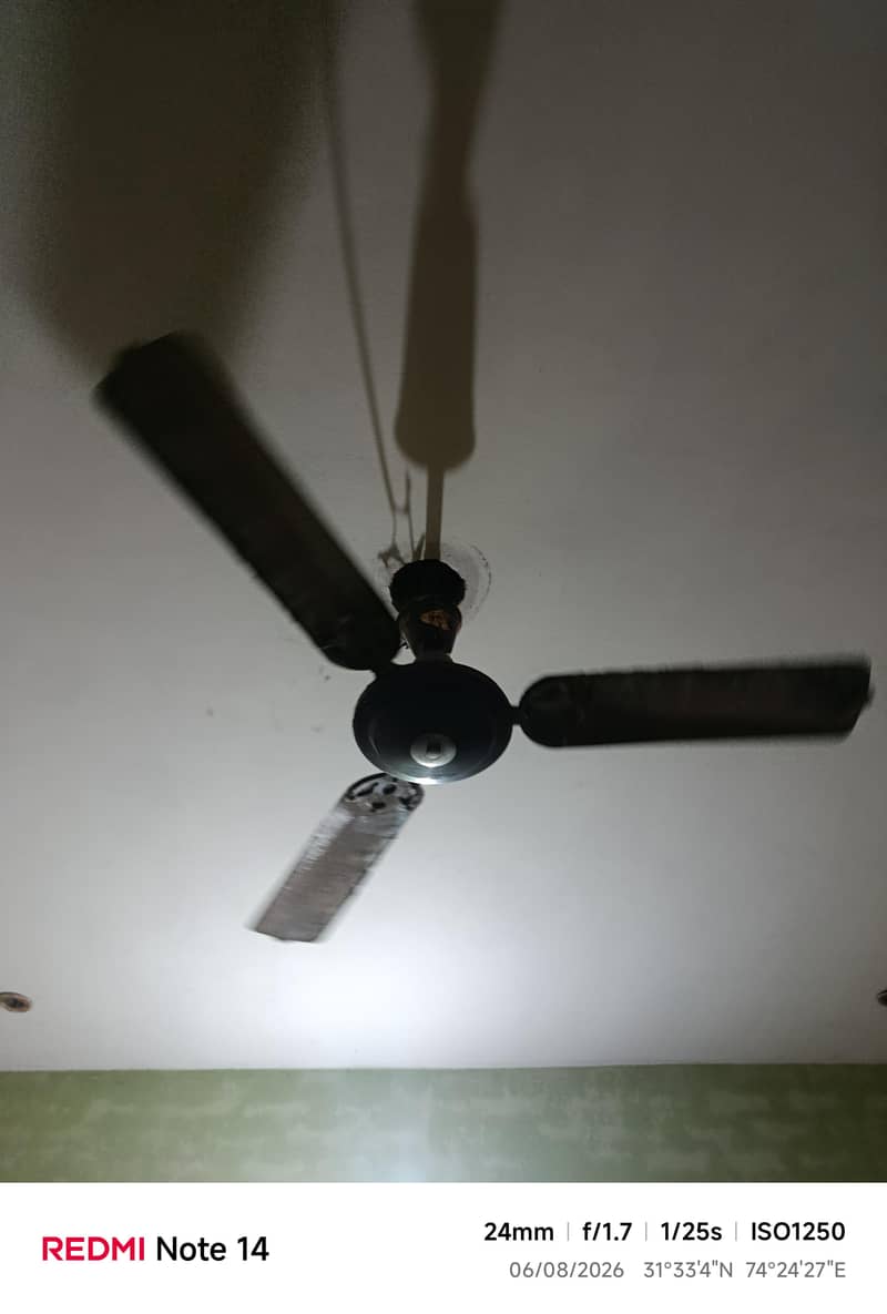 Ceiling Fan 2