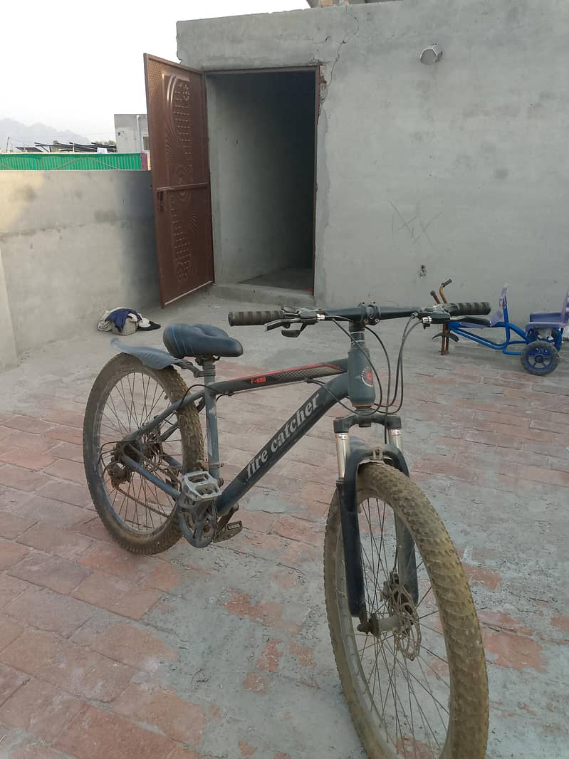 cycle 1