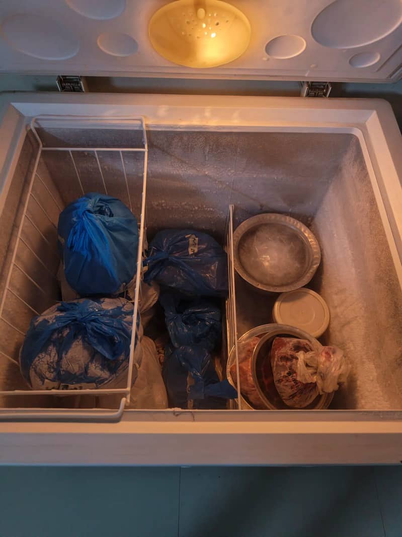 deep freezer 1