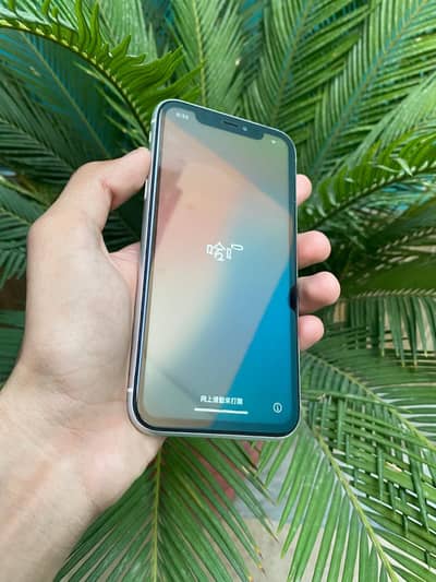 Apple iPhone XR