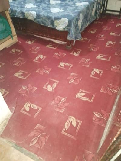 carpet