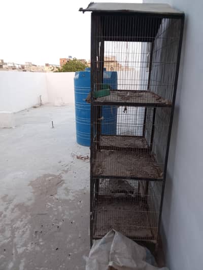 5 sects cage