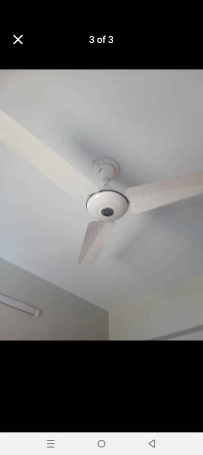 Pak Fan