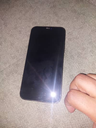Apple iPhone 12 Pro Max