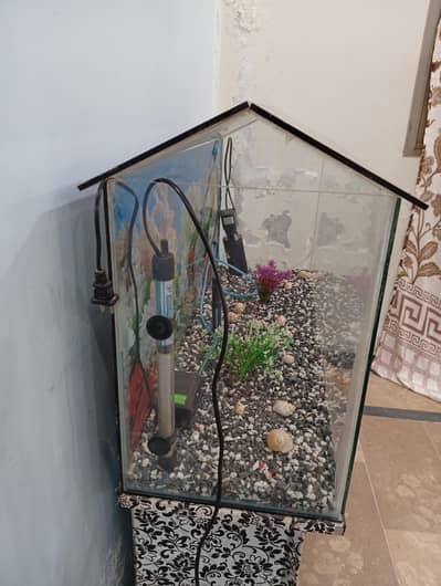 Fish Aquarium full setup