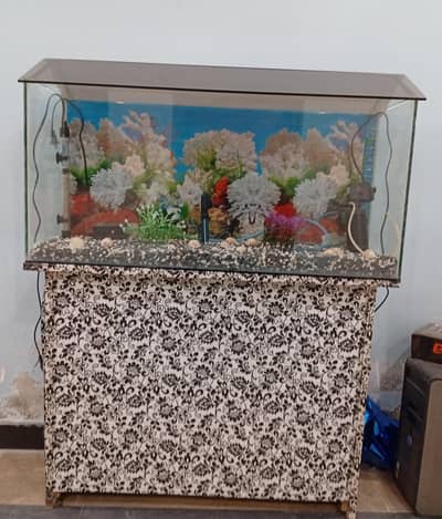 Fish Aquarium full setup