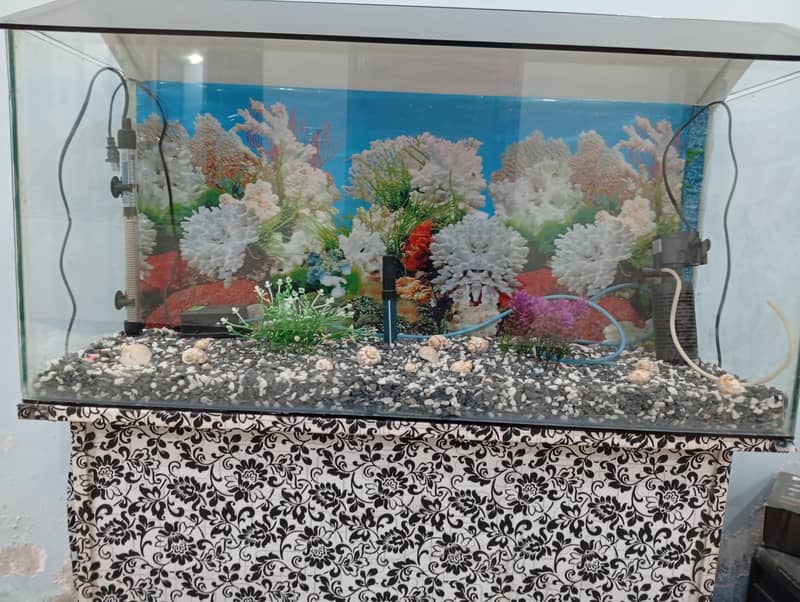Fish Aquarium full setup 3