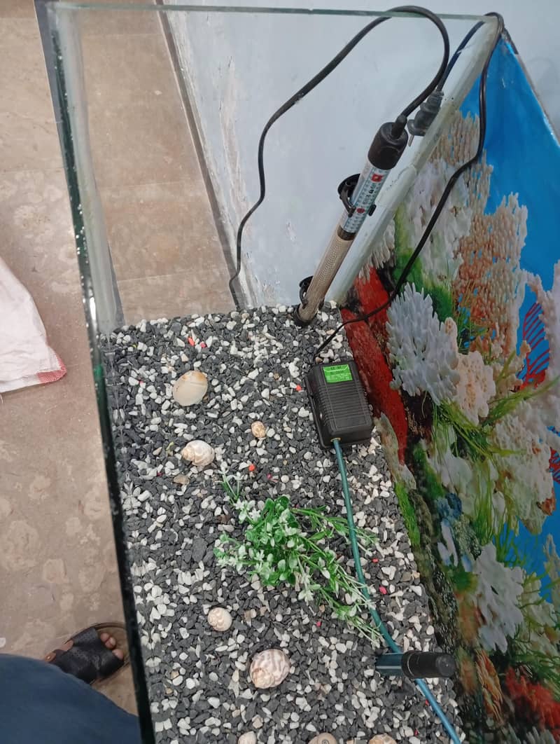 Fish Aquarium full setup 6